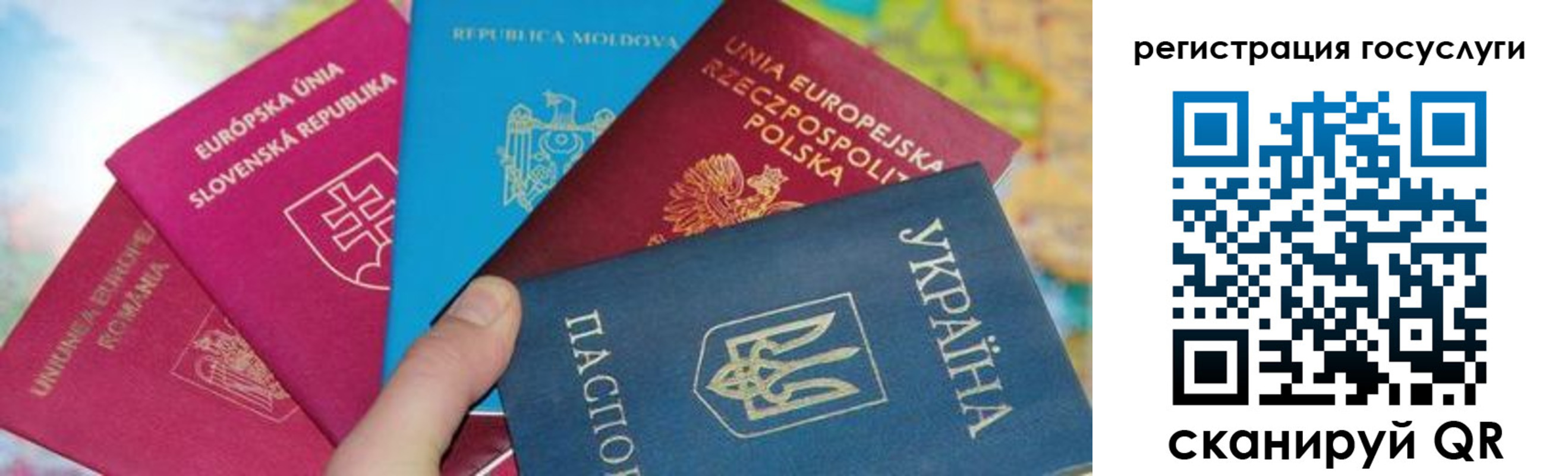 прописка гарантия в Опочке